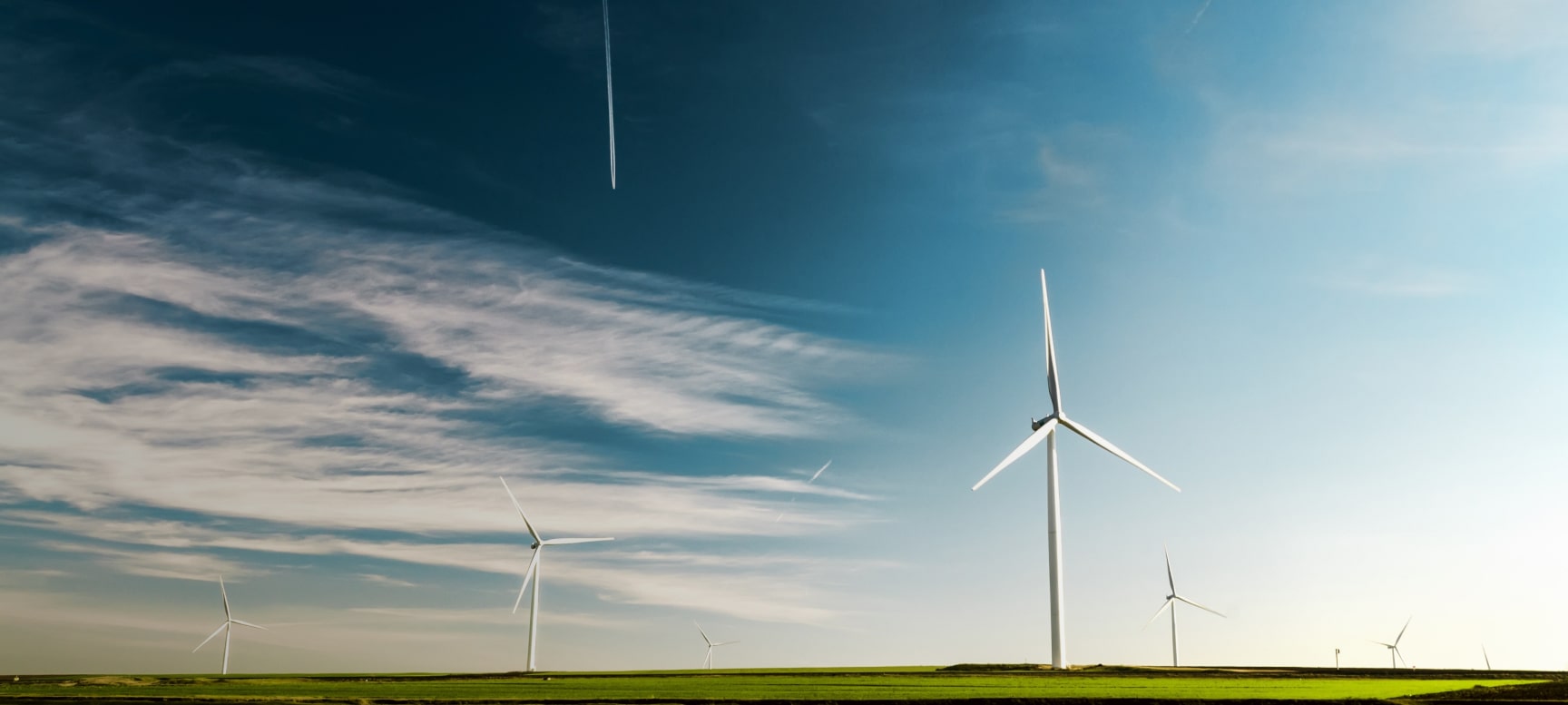 Casale | Plants for a new planet