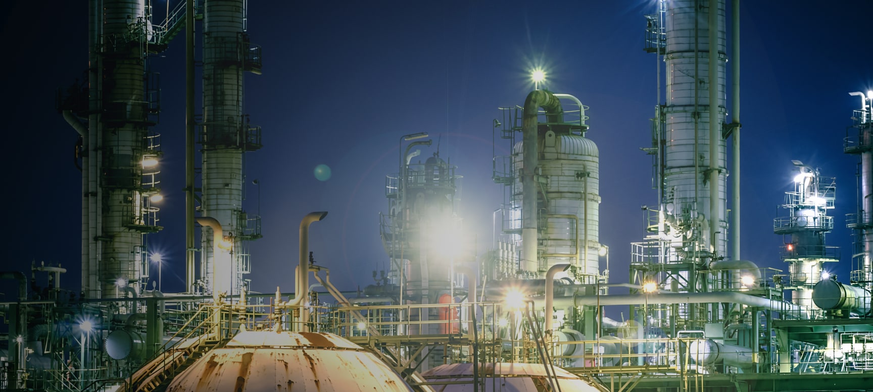 Casale | Plants for a new planet