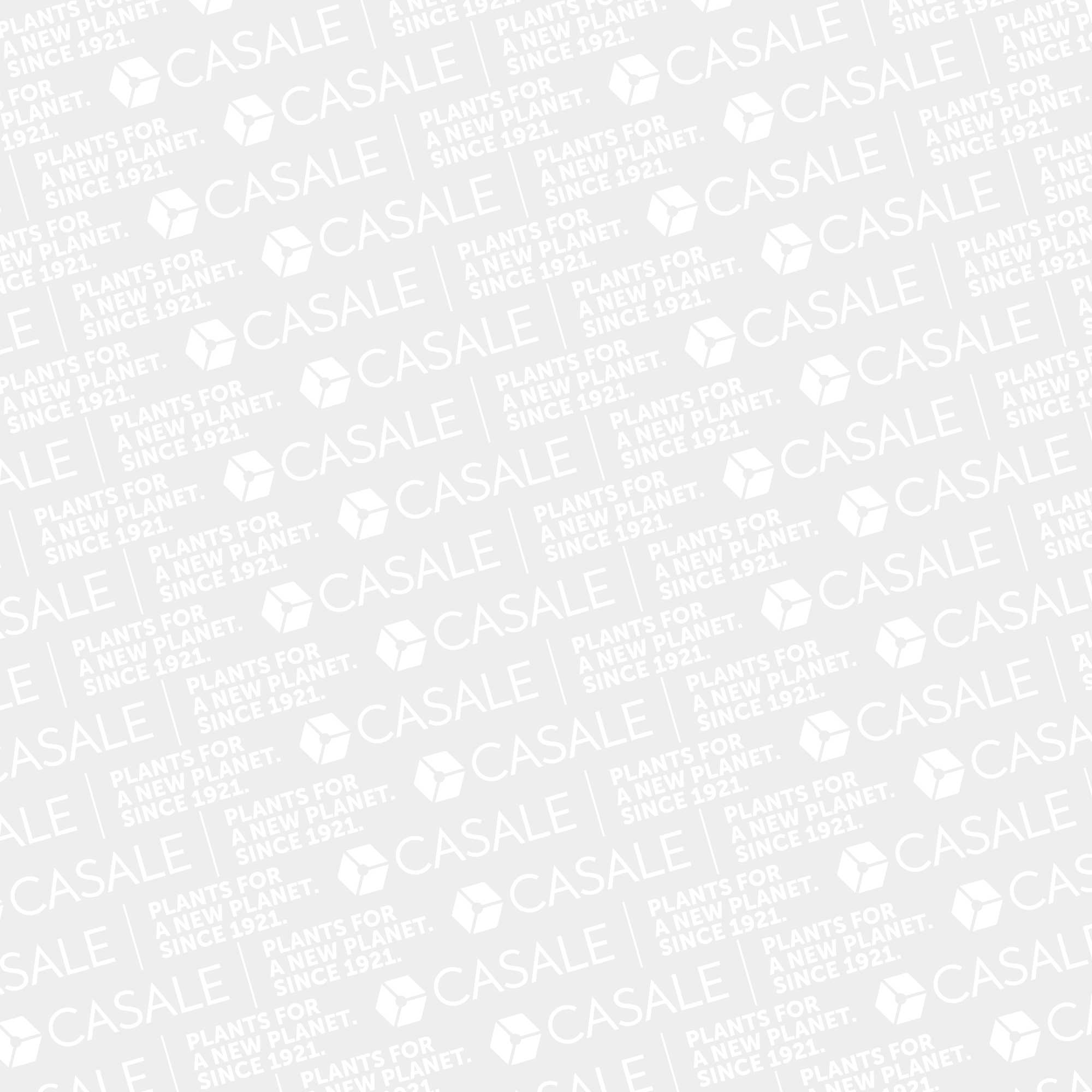 Casale | People & Careers